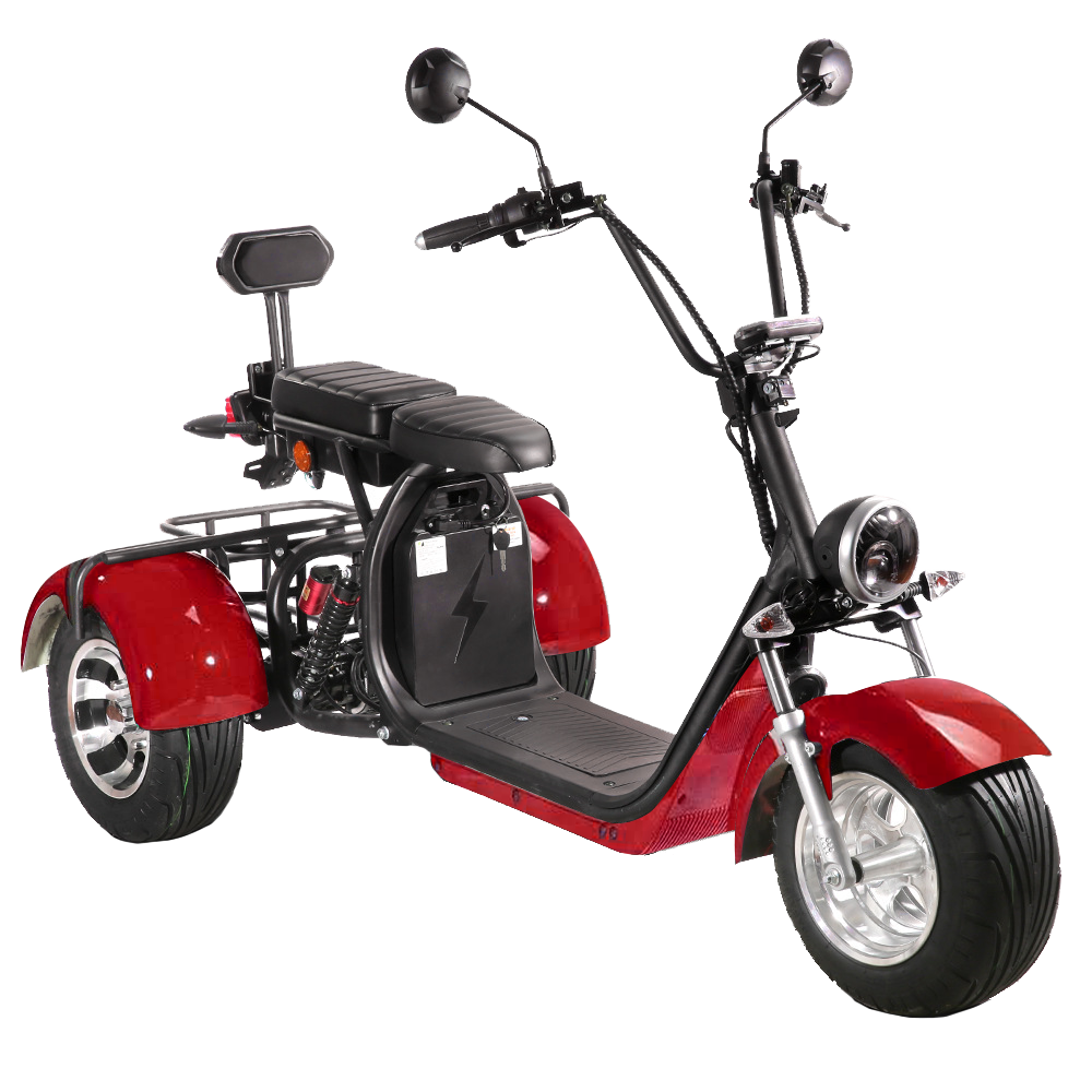 SoverSky Electric Mobility Adult Trike 2000w T7.1 fat tire scooter