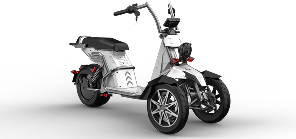 The 4000W Three-Wheeled Motorcycle E-Trike SoverSky T100