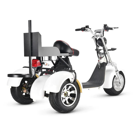 An Electric Tricycle Golf Cart Will Show You a Unique Way to Play Golf ...