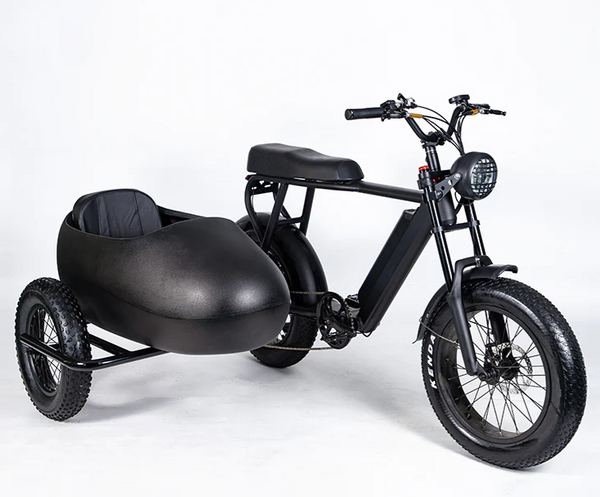 Joyful! Ride The Lithium Bike With Sidecar With Your Friends