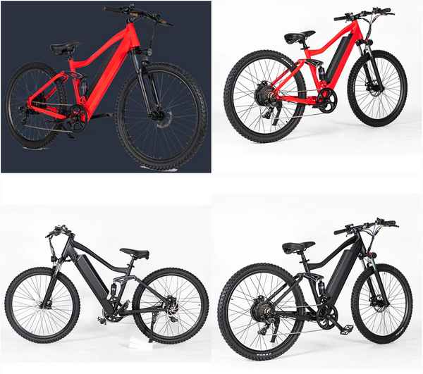 Lithium battery bike with sidecar can be customized color by SoverSky