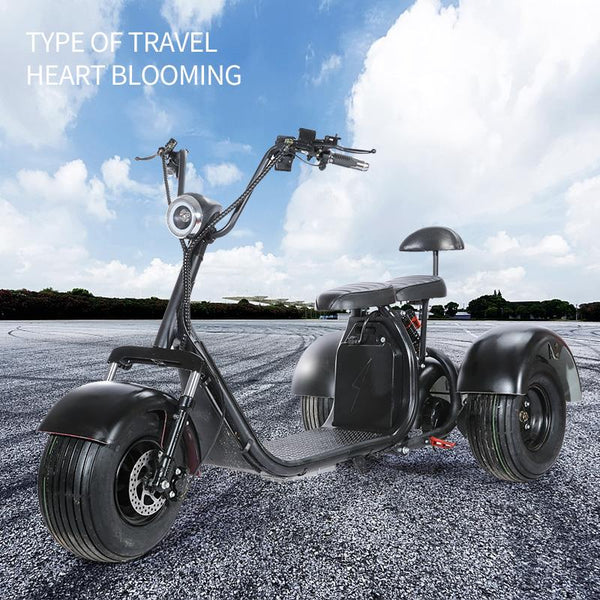 The Best Three Wheel Fat Tire Scooter Adult Mobility Moped