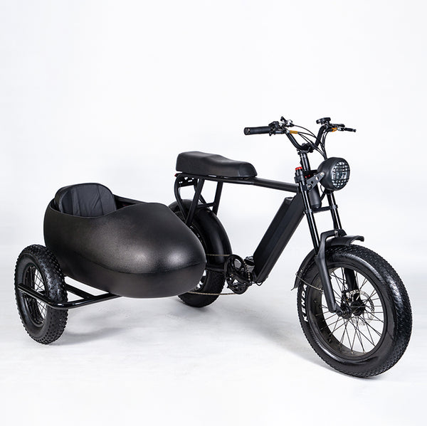 TS75-4815: The Ultimate Electric Sidecar Bike for Your Adventures