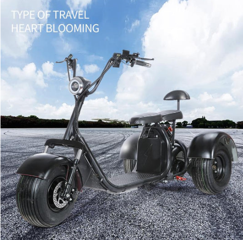 Electric Vehicle Adult Tricycle: The Future of Sustainable Transportation