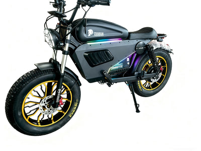 SoverSky Knight /Black Warrior Lithium Bike Pro