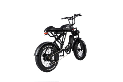Electric Fat Tire Bike Shimano 7-Speed Titan 500