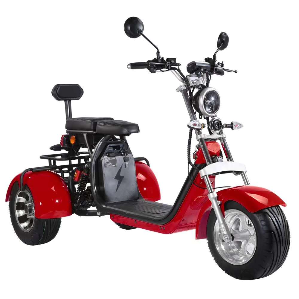 SoverSky Electric Mobility Adult Trike 2000w T7.1/T7.2